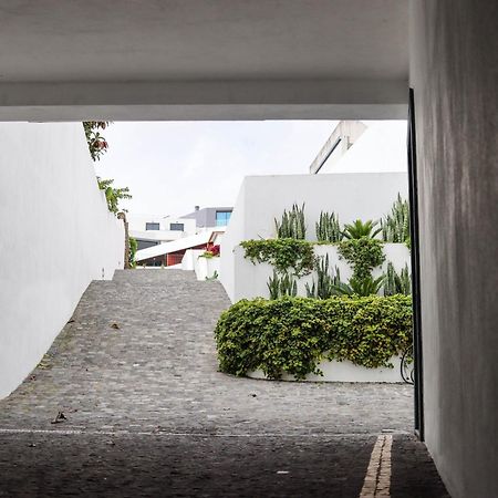 Sao Miguel Charming House By Lfc Apts 蓬塔德尔加达 外观 照片